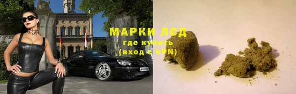 ГАЛЛЮЦИНОГЕННЫЕ ГРИБЫ Саяногорск
