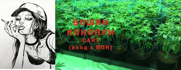 гидропоника Алексеевка